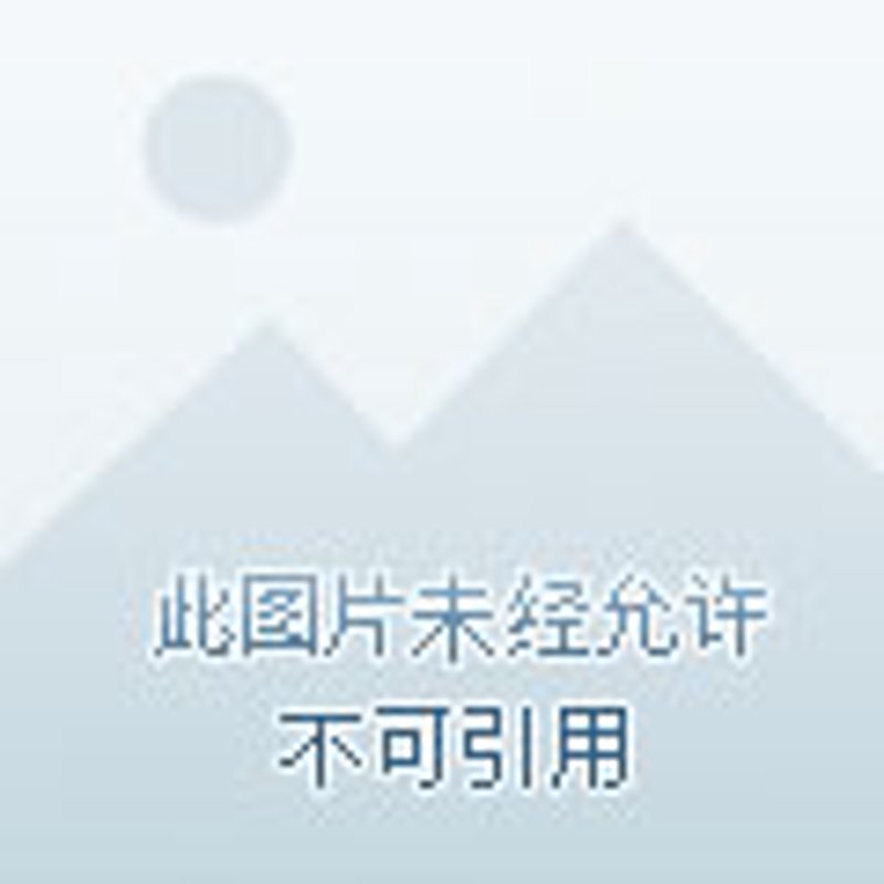 知棱实业:如何构建坚实的信任基石